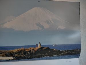 The pure ocean... at Pure Kitchen in Tampa