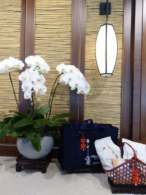 interior decor at Jingsi Books & Cafe 靜思書軒 in Central Singapore