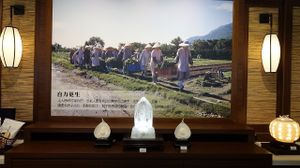 interior decor at Jingsi Books & Cafe 靜思書軒 in Central Singapore