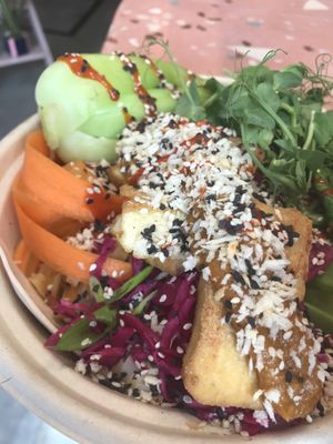 Noodles, great portion size  at Pom Kitchen - Sharrow in Sheffield