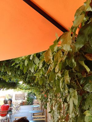  at Bagus Kafé in Hyeres