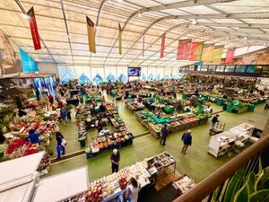  at Local - Your Healthy Kitchen in Cascais