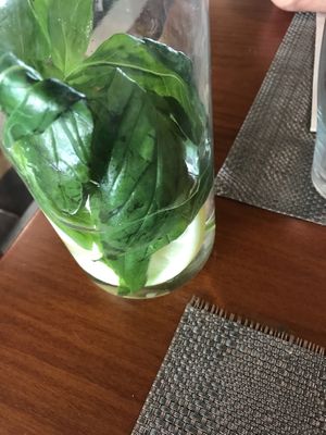 nice complimentary water  at Local - Your Healthy Kitchen in Cascais