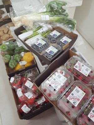 Frutas e legumes frescos Biologicos at Natural & Bio in Esposende