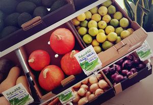 variedade at Natural & Bio in Esposende