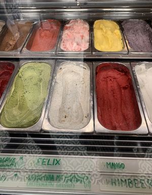   at Veganista Ice Cream IV in Vienna