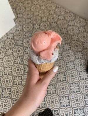   at Veganista Ice Cream IV in Vienna