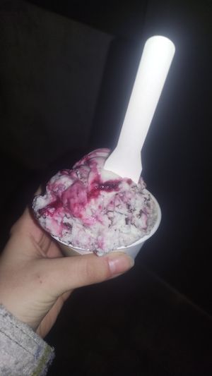  at Veganista Ice Cream IV in Vienna