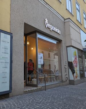 storefront at Veganista Ice Cream IV in Vienna