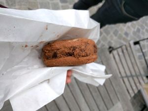 chocolate-cookie-icecream at Veganista Ice Cream IV in Vienna