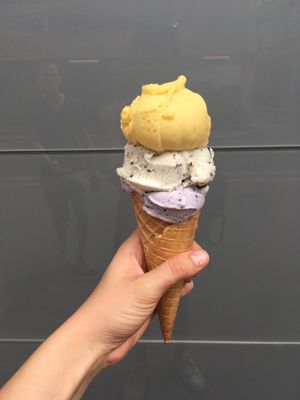Passion fruit cookies and blueberry muffin at Veganista Ice Cream IV in Vienna