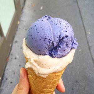 Blueberry-lavender and oat-cinnamon  at Veganista Ice Cream IV in Vienna
