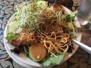 Evolution Noodles. Yum! at Cafe Evolution in Florence