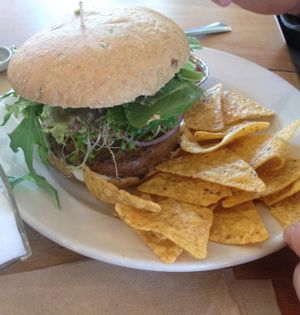 Veggie Burger at Cafe Evolution in Florence