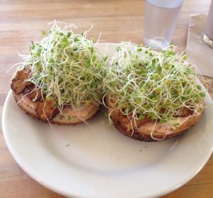 Saint Reuben at Cafe Evolution in Florence