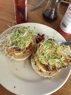 bagel Benedict. phenomenal  at Cafe Evolution in Florence