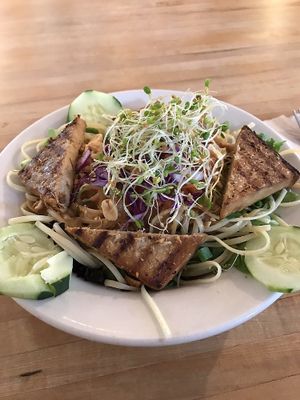 Evolution Noodles - warm version (option to order them cold too. at Cafe Evolution in Florence