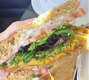 Not so turkey sandwich with "fakin bacon" minus the onions at Cafe Evolution in Florence