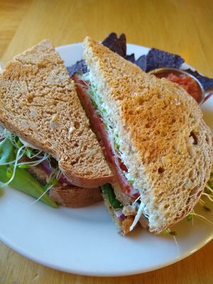 Baked tofu sandwich at Cafe Evolution in Florence