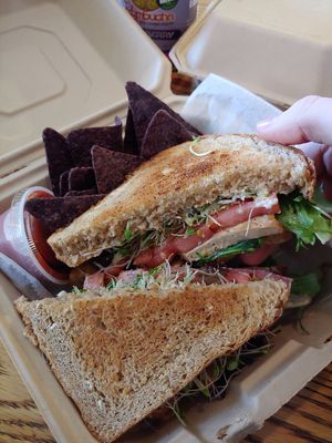 Tofu sandwich at Cafe Evolution in Florence