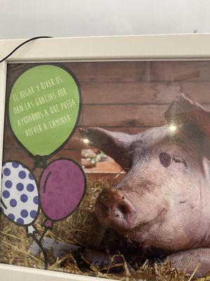   at El Enano Verde in Torremolinos