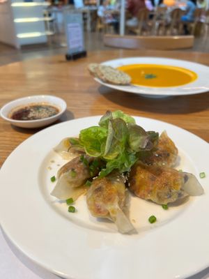 Veggie Dumplings at Broccoli Revolution - Central Embassy in Bangkok
