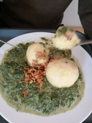 Potato dumplings with spinach and tofu at Bistro Rozmaryny in Olomouc