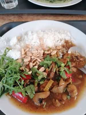 Vegan kung pao at Bistro Rozmaryny in Olomouc