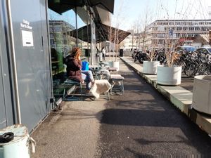 Outside seating at quiet street at Daizy in Zurich
