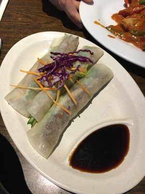 Peiking rolls enter at Zenhouse Vegetarian Yum Cha  in Adelaide