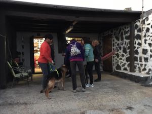 meeting our dog Archi at Soja y Pimenton - Vegan Argentinian BBQ in Lanzarote
