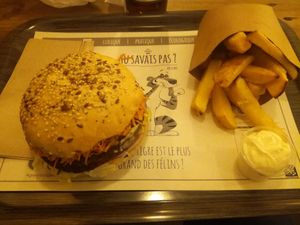 Burger with fries and homemade mayo at GreenBurger in Liege