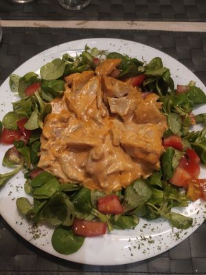 Strogonof at Nirvana in Florence