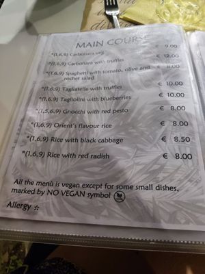 Menu at Nirvana in Florence