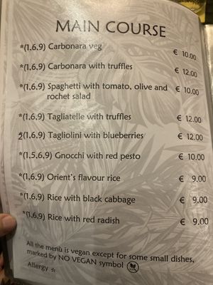 Menu   at Nirvana in Florence