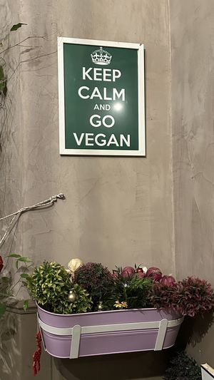   at Nirvana in Florence