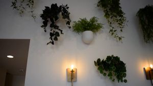 plants on wall, interior at Local Juicery in Flagstaff