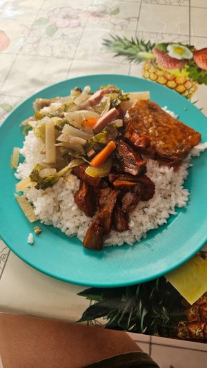 Buffet Option Rice with 3 toppings at Nature Vegetarian in Sandakan