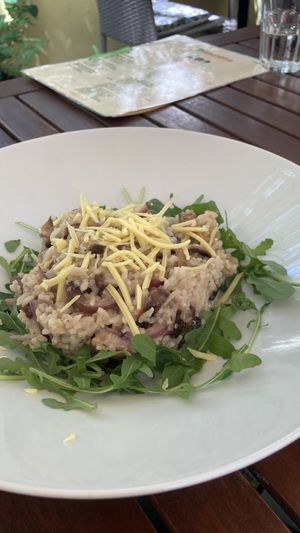 Mushroom risotto (pic doesn’t do it justice)  at Natureza in Prague