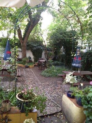 Some of their garden (cloudy weather) at Natureza in Prague