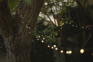  at Natureza in Prague