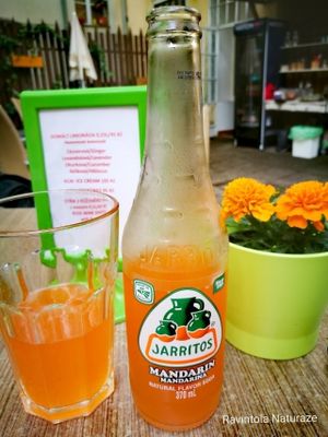 Nice atmosphere at Natureza in Prague