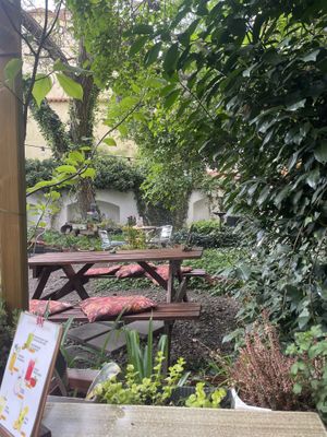   at Natureza in Prague