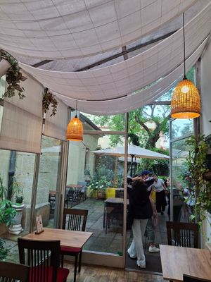  at Natureza in Prague