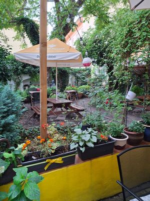  at Natureza in Prague