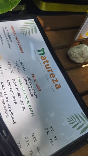 Just the menu header at Natureza in Prague