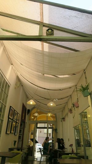 inside at Natureza in Prague