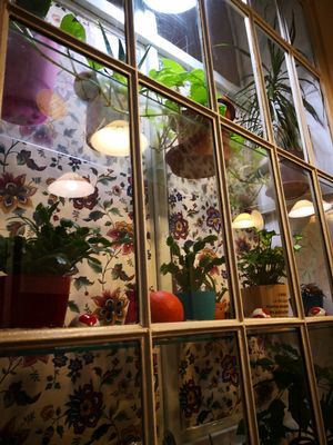 Interior at Natureza in Prague