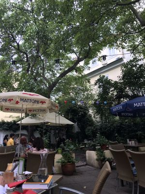 Garden at Natureza in Prague