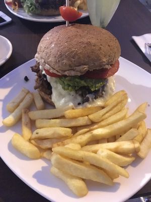 Safari at Katako Veg in Santiago